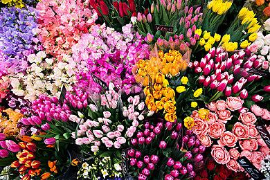 《帝国时代3：决定版》Steam本体变成免费